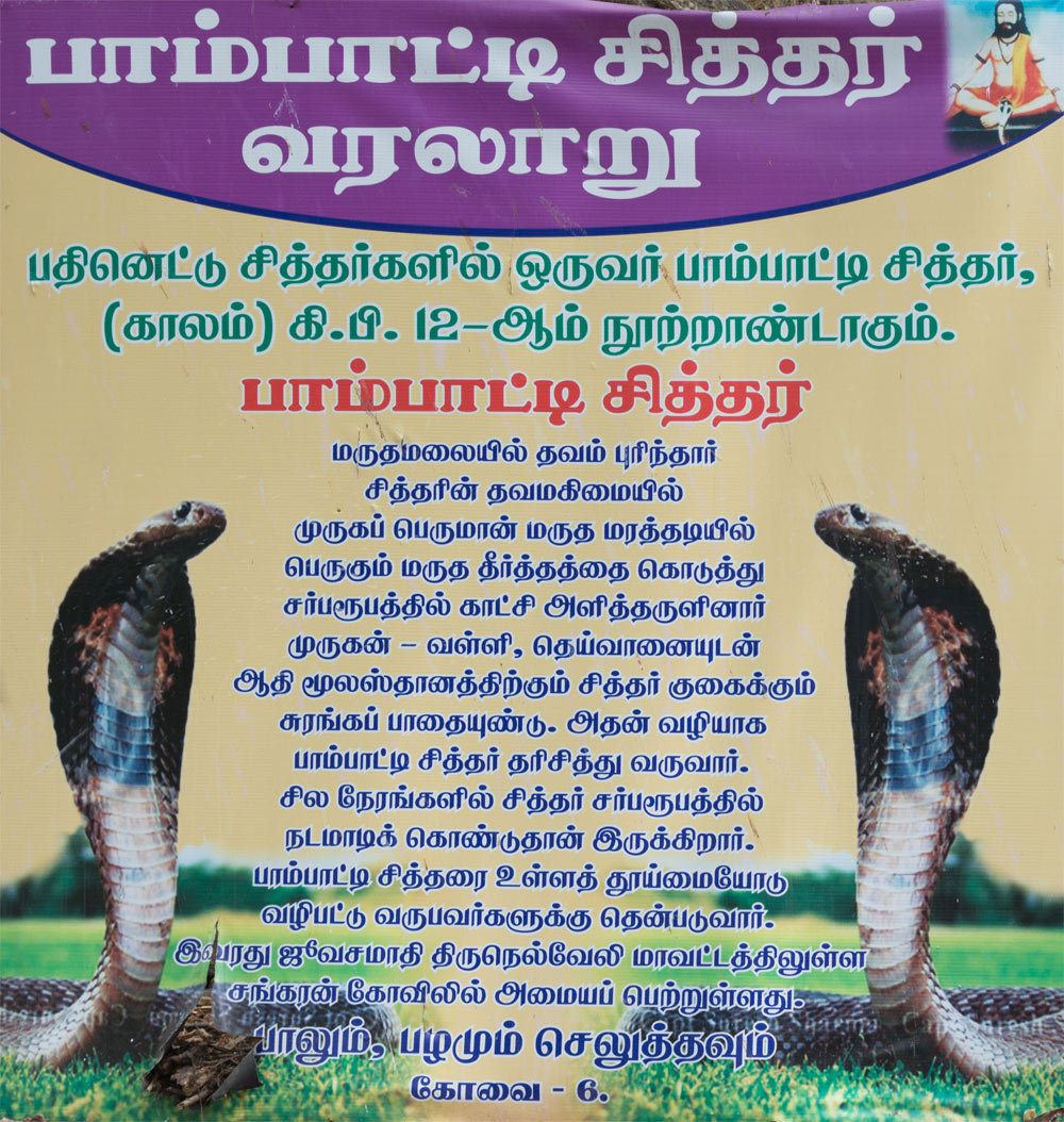 Pambatti Siddhar info